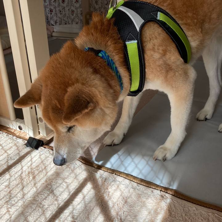 F2c96b55 3695 485e a524 3ab6270f6f2a 1642744312451