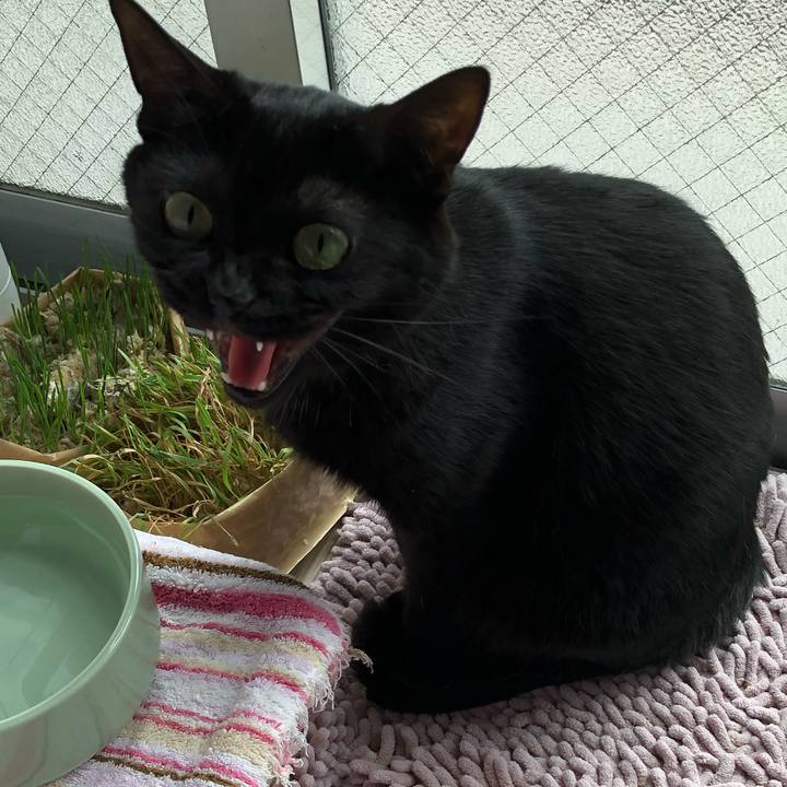 F2c985b0 8166 4d02 8ef1 5e331b0013ad 1556709895838