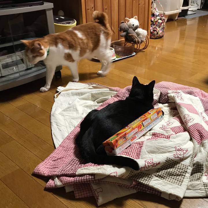 F2c99c1d 69f5 45a3 86be a70053402664 1585152717337