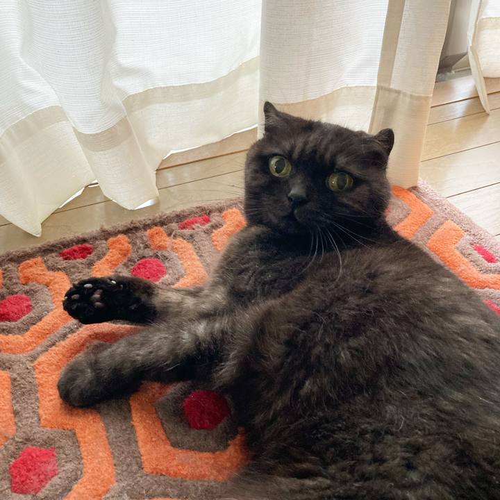 F2c9c380 60d1 46d9 93c8 28e154648a86 1629159744733