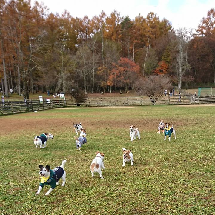 F2c9de52 250e 4bb1 86d5 68ee15a6a144 1604818391277