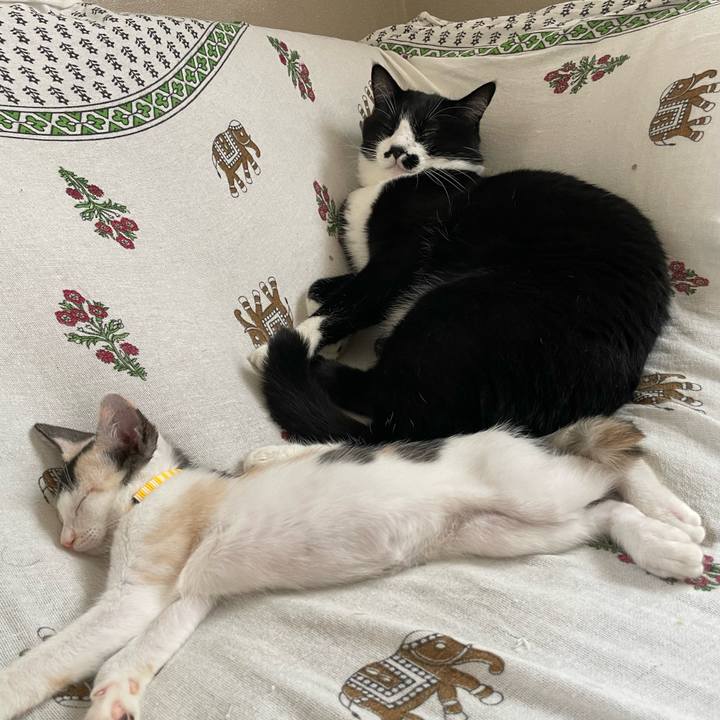 F2ca68eb e0cb 4204 a9cc e1409cb54445 1658370765278