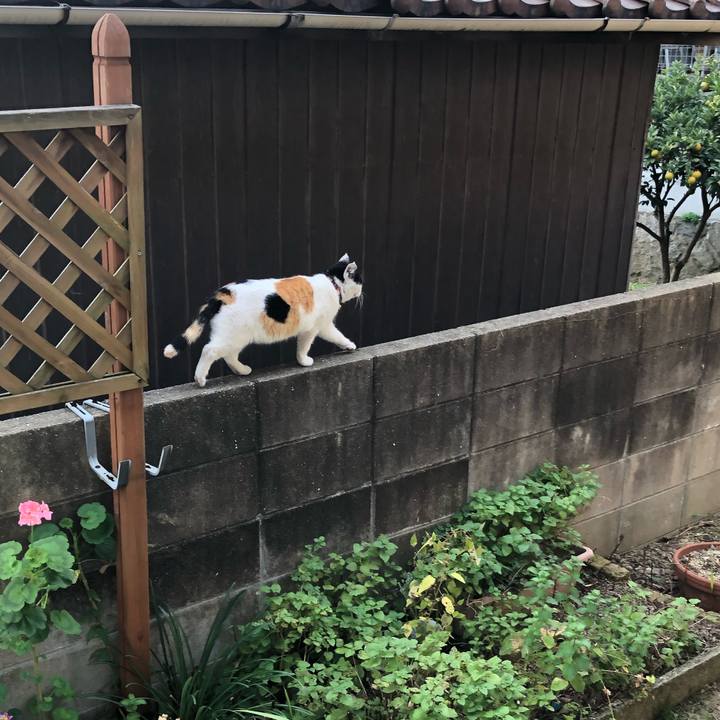 F2caa66b 21ee 4b43 b925 0ce1ce369954 1607213117359