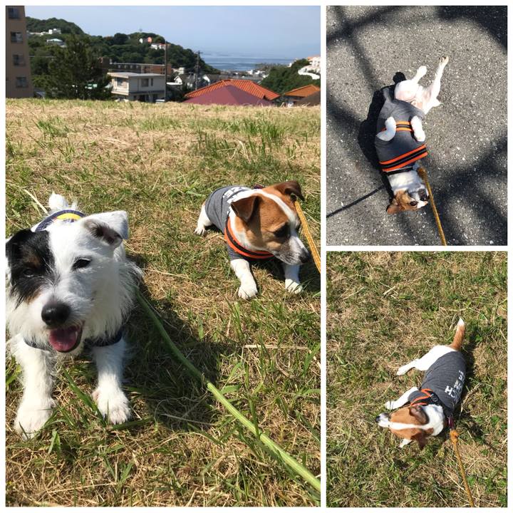 F2cb0444 d273 4e62 bb9d 3d17890b104b 1526949786064