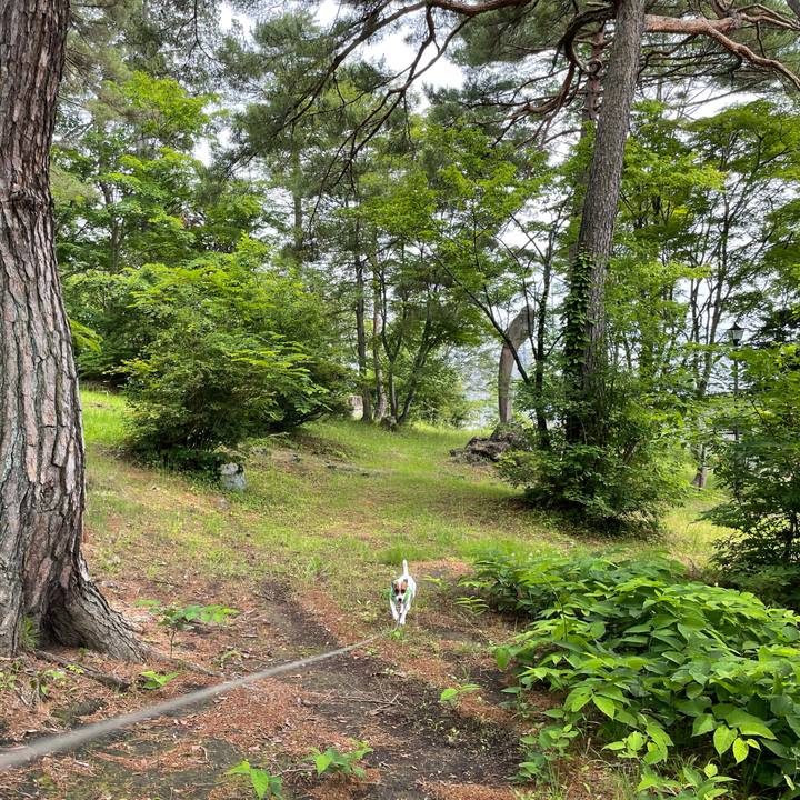 F2cb1114 b1fe 448f a5f7 6e6655e7212f 1624876941472