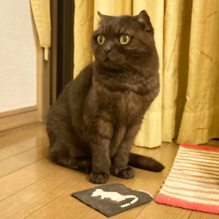 F2cb2b4c 5ed7 479b a1c9 3a9e28f5c061 1631538253729