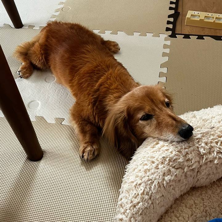 F2cb48f3 976c 456b 895e fc5b730a5bfa 1655383714856