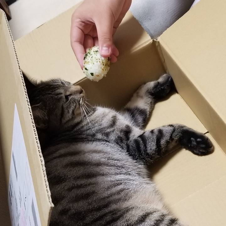 F2cb5489 acd1 4990 ae76 32585b176769 1686054829700