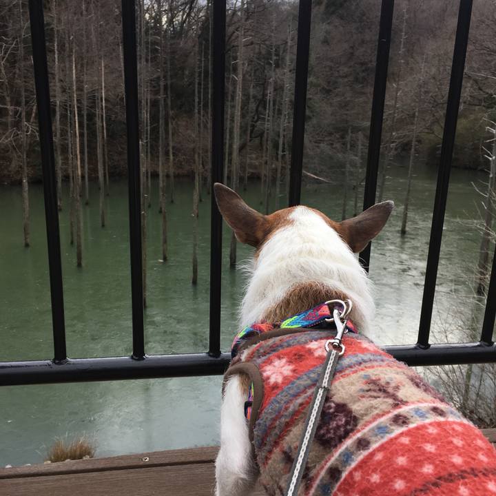 F2cb823c b368 45e3 a302 831a50b38427 1644189862643