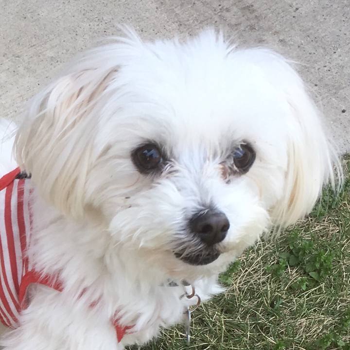 F2cb87b8 1a3c 420a a9f6 90e1a5016b17 1524311428575