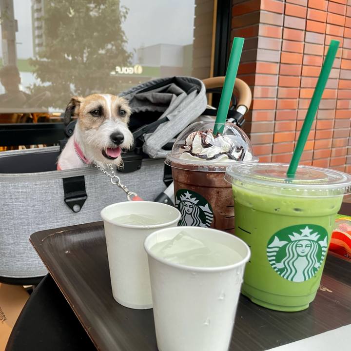 F2cbae80 f413 465e 910d 3312e05d4a1e 1623762568007