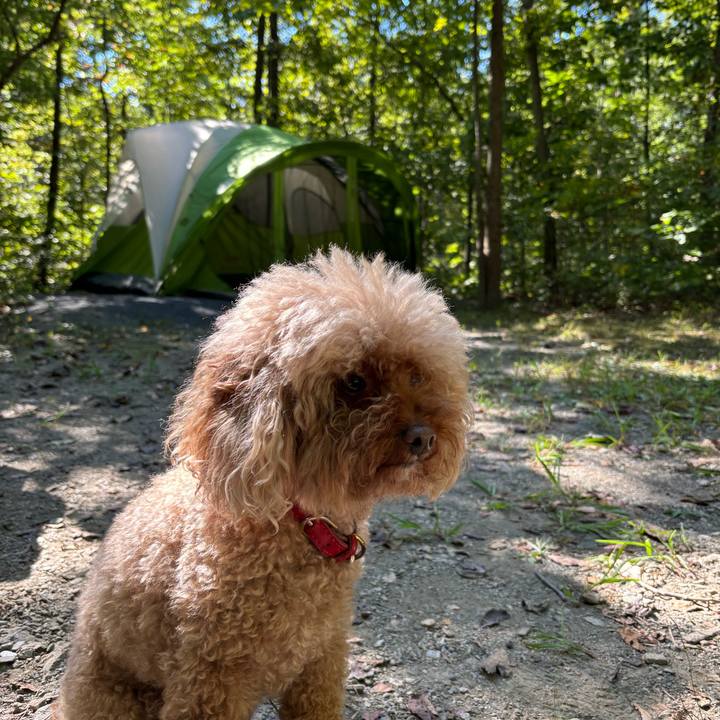 F2cbaffe f05d 4f51 b616 19583117f8ed 1756682193051