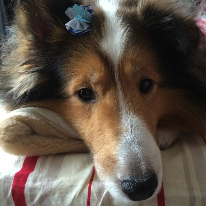 F2cbd3af 601c 4d97 b271 95fa11ae0076 1740897215016