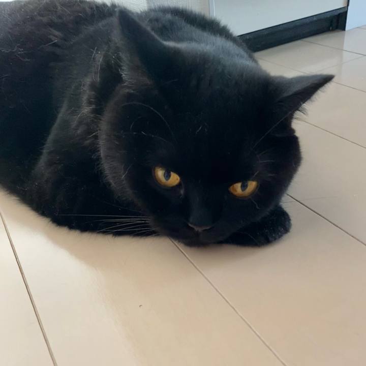 F2cbe88f 346d 49cb b511 4b2354516b64 1688715032593