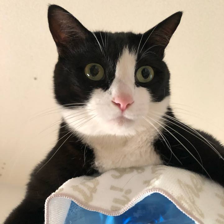 F2cc09aa d7d9 4b9f b855 8c1792b976a6 1526640880084