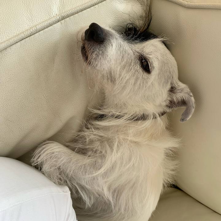 F2cc128a 92bb 4cd8 a76d 97f0b73b760c 1696208829849