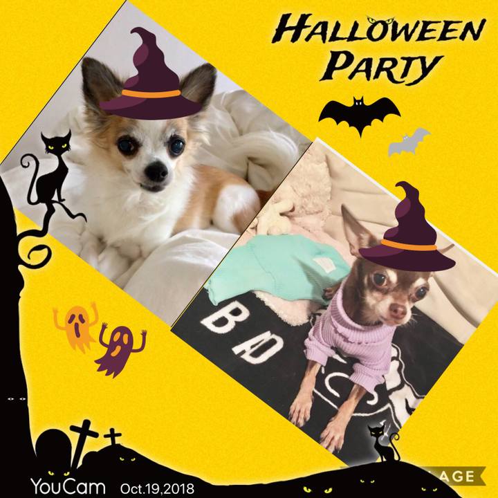 F2cc12e7 1193 426f a3c5 e1162b2ea703 1539936947383