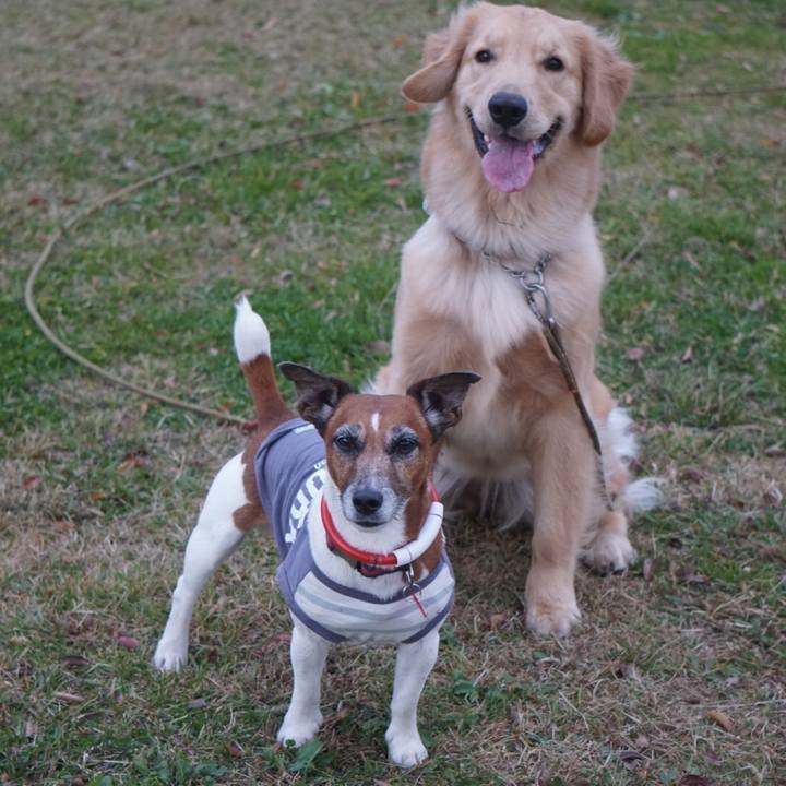 F2cc3b63 7244 4605 b0d3 1618c1d69049 1606777758903