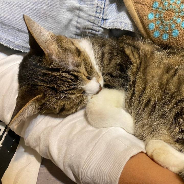 F2cc5683 8bdd 421a 9c57 2224839baf02 1607223226308