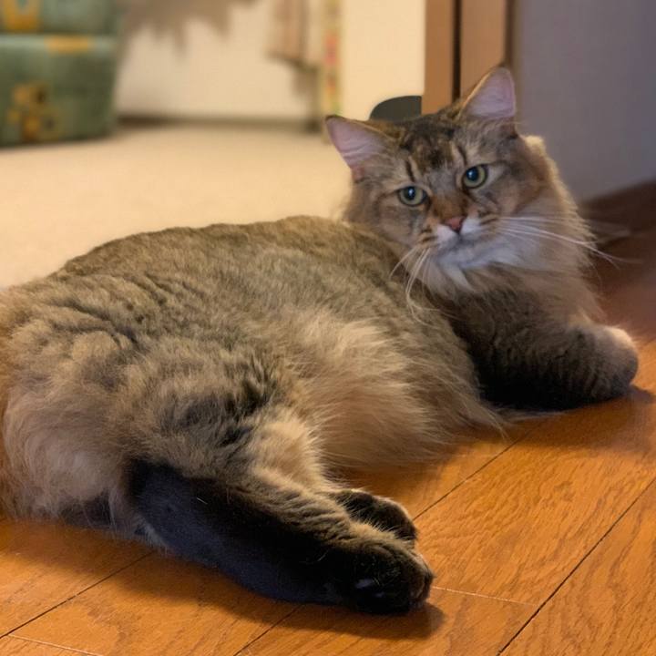 F2cc59e2 ef82 470d a12b 4efbd8c48848 1758235909024