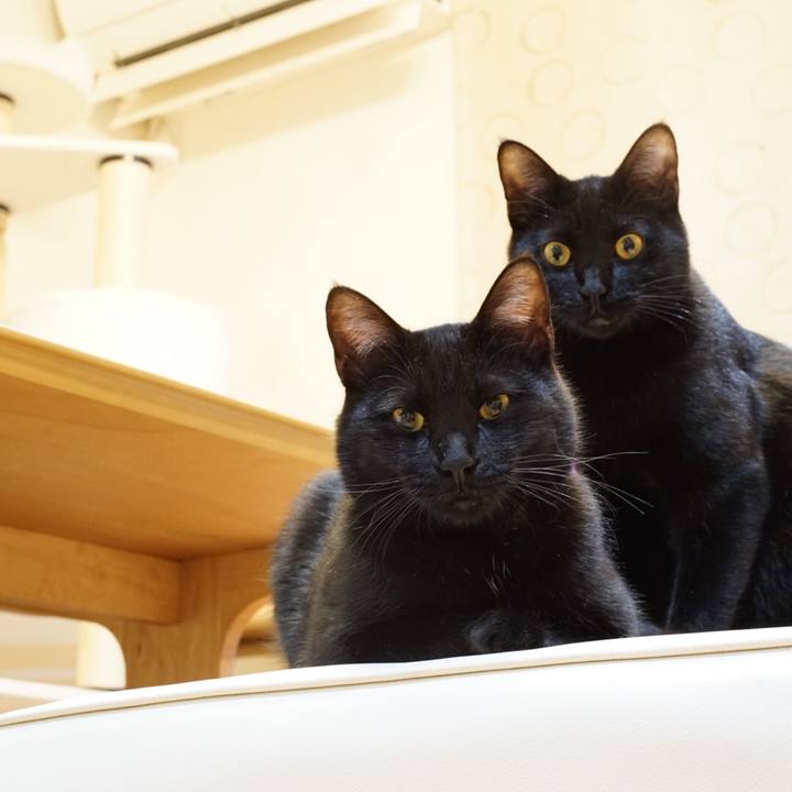 F2cc5e80 a985 471a ab66 3a842a26d4c7 1520608623746