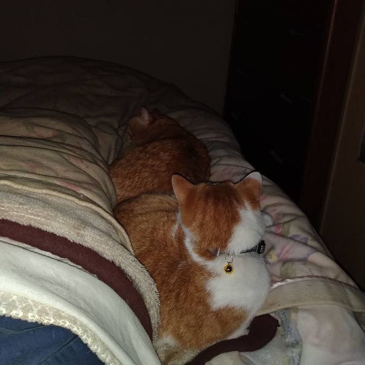 F2cc6c52 fad0 4b57 bfb7 900310d224d2 1765895189964