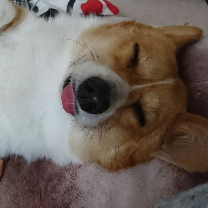 F2cca866 3c98 4e6d 9dc9 350a5a44cb34 1516709235453