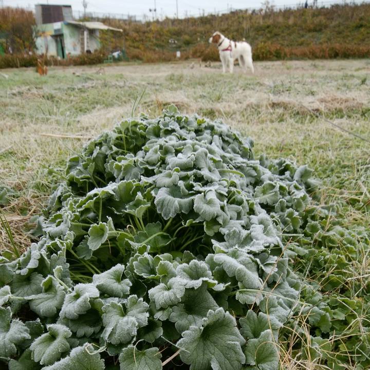 F2ccdf79 58e6 46f0 8aa5 d41075fc5c91 1544401025784