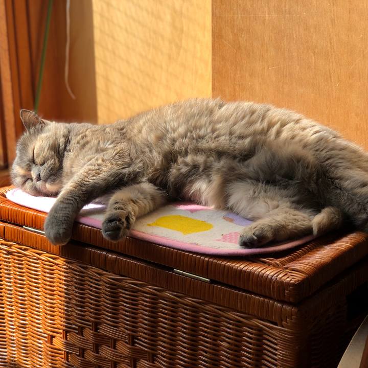 F2cd0637 539e 484d a51f 928d24675986 1773675531650