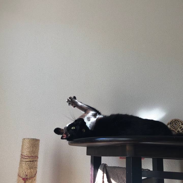 F2cd0d52 82bc 4e5f baf6 ca5d37be1ec1 1544842292047