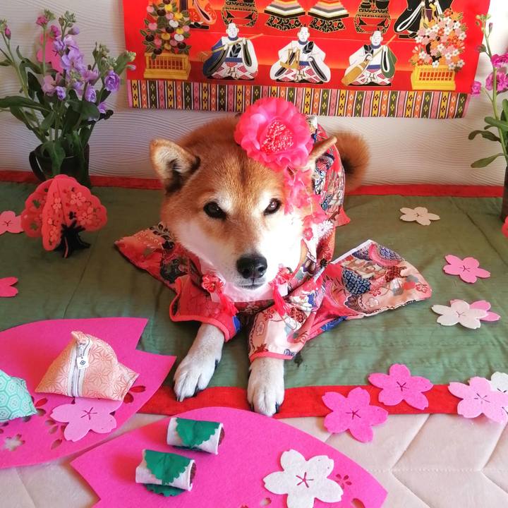 F2cd1ecc 5d32 416f 98e2 6578e1f4d788 1677594853359