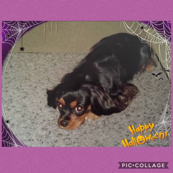 F2cd2515 719d 4290 aab5 80f66e2401d3 1572182465645