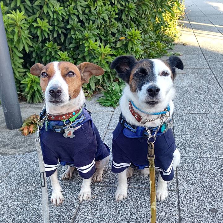 F2cd2bf7 e779 40f0 923b 641c25de3bdc 1633906828016