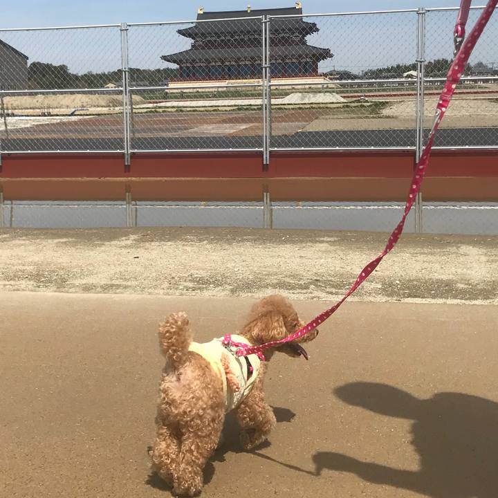 F2cd43d3 7068 4246 bf86 03e9207b6971 1521872844615