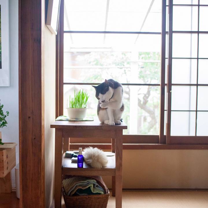 F2cd6389 9ca7 4396 81c0 b826d34d4d4d 1593335475199