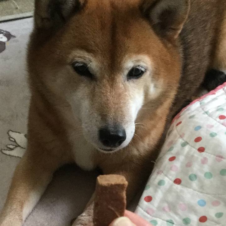 F2cd68f0 83dd 4ed4 b5e6 0ec01bdabbc2 1604189158316