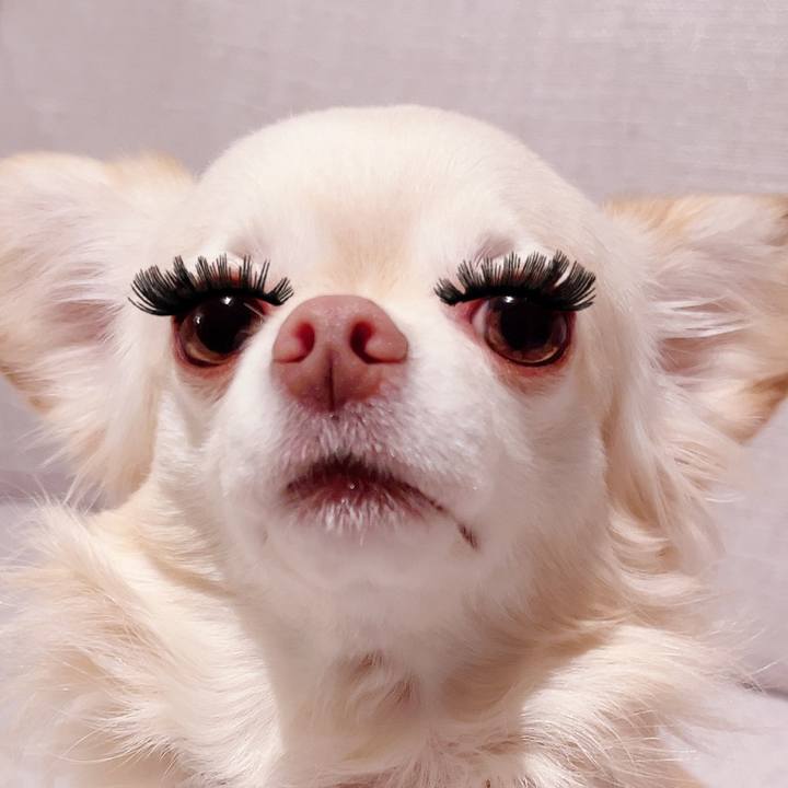 F2cda172 fc8d 4c67 b6f0 49c62259c3f4 1734774882295