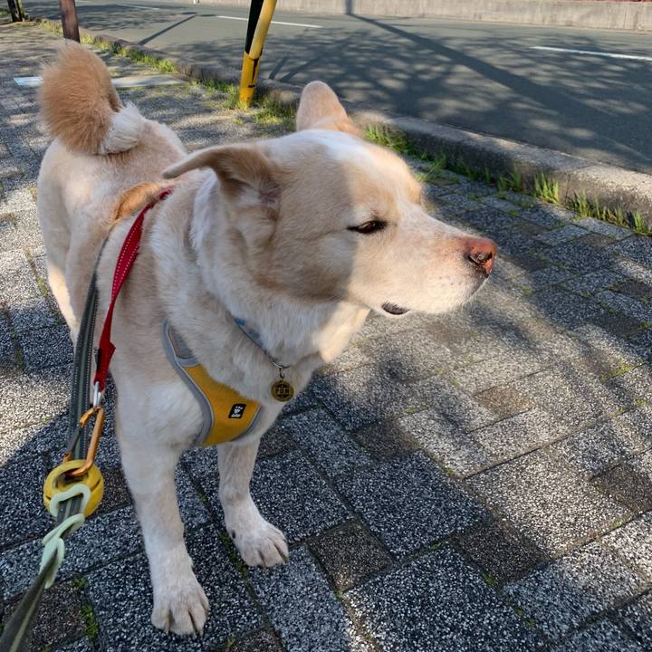 F2cdbb2f 46a2 4798 9c16 447e9284b130 1586481536343