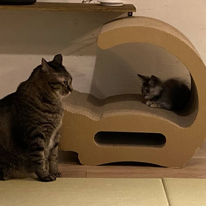 F2cdf410 1969 45d3 a481 fbcd03a3a58f 1692149032453