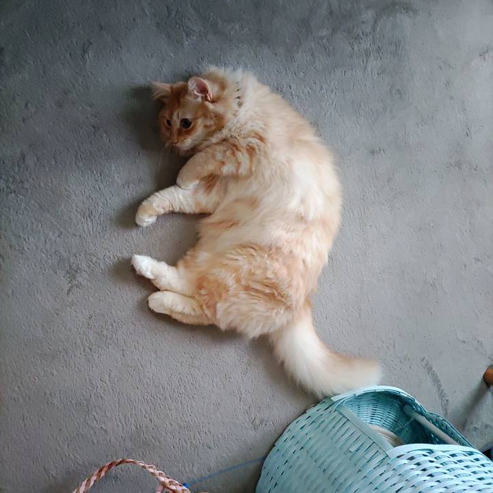 F2ce60b7 52fa 4016 ba80 9f12709a71dc 1661932937745