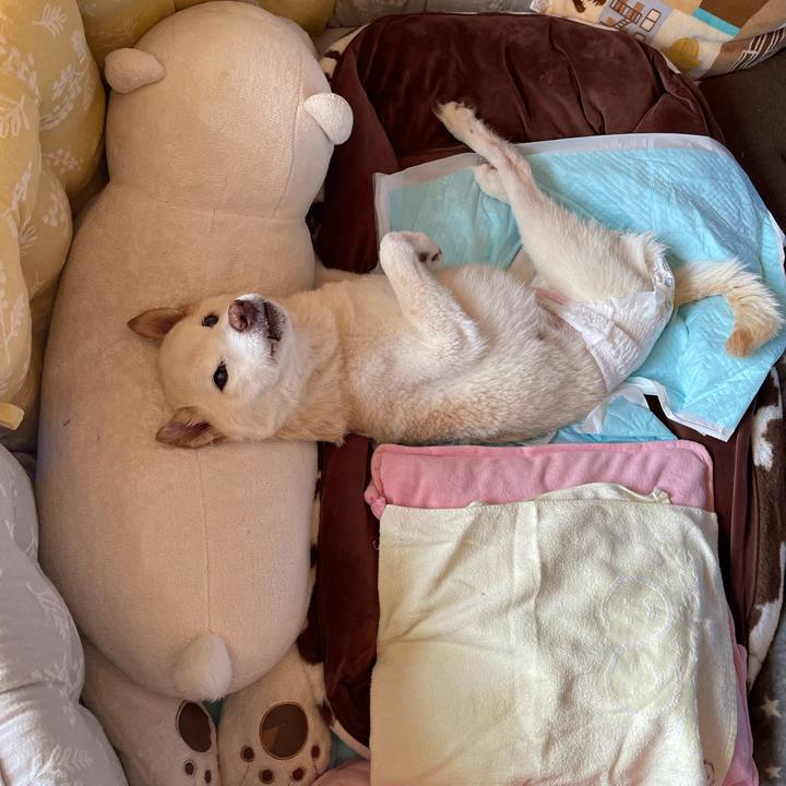 F2cebfe0 50d3 4308 bf9e bbfafcf2e3db 1678508250331