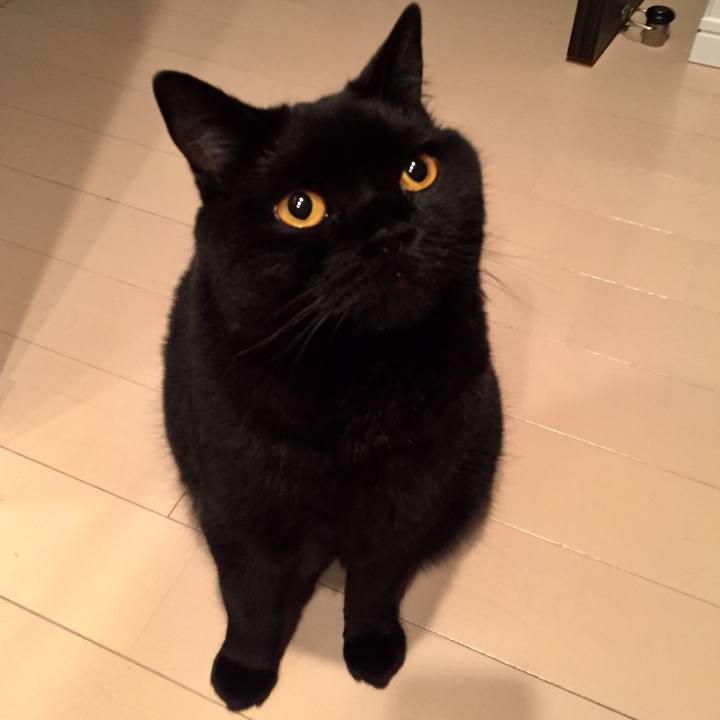 F2cee2f3 fd5d 4f63 8b35 df439b1a0fb9 1561205079631