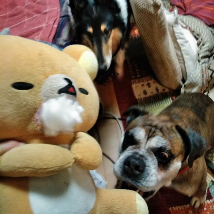 F2cf0139 5be8 4126 9727 cb9981141b5b 1513603781378