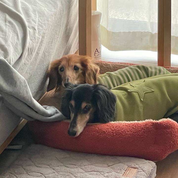 F2cf0c42 6908 4e00 954c 49e77910b282 1708989983238