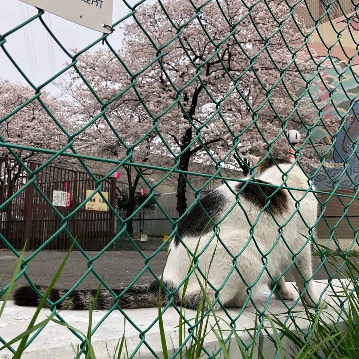 F2cf3801 4ece 4fe3 8fe6 1d0bb1c081c8 1522170538552