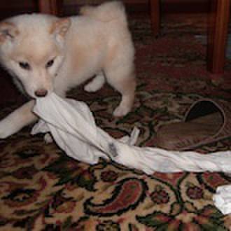 F2cf4b75 fce4 4d1f aff3 34e0a8f9269b 1634029039258