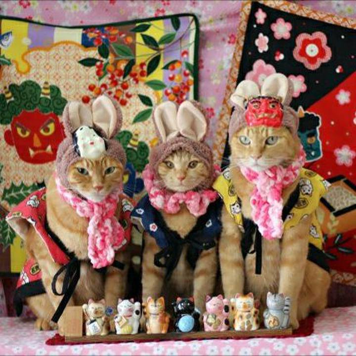 F2d001bc 5e6e 43ed 9b4d b1375c699c4d 1549154016192