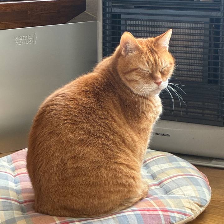 F2d01e4b 8222 49ce abd8 ee1741603519 1771732192632