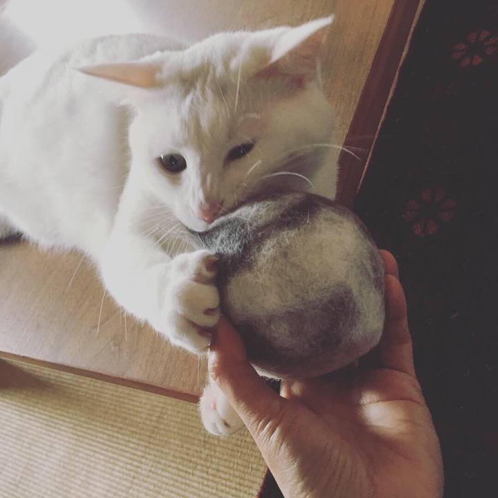 F2d0520d 1f7c 45f4 a42d ca972d8cdd1d 1556149185306