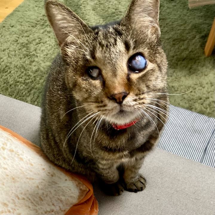 F2d069a6 bb2a 4c58 95b6 d1663016780c 1635583210162